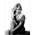 Brigitte Bardot Photo